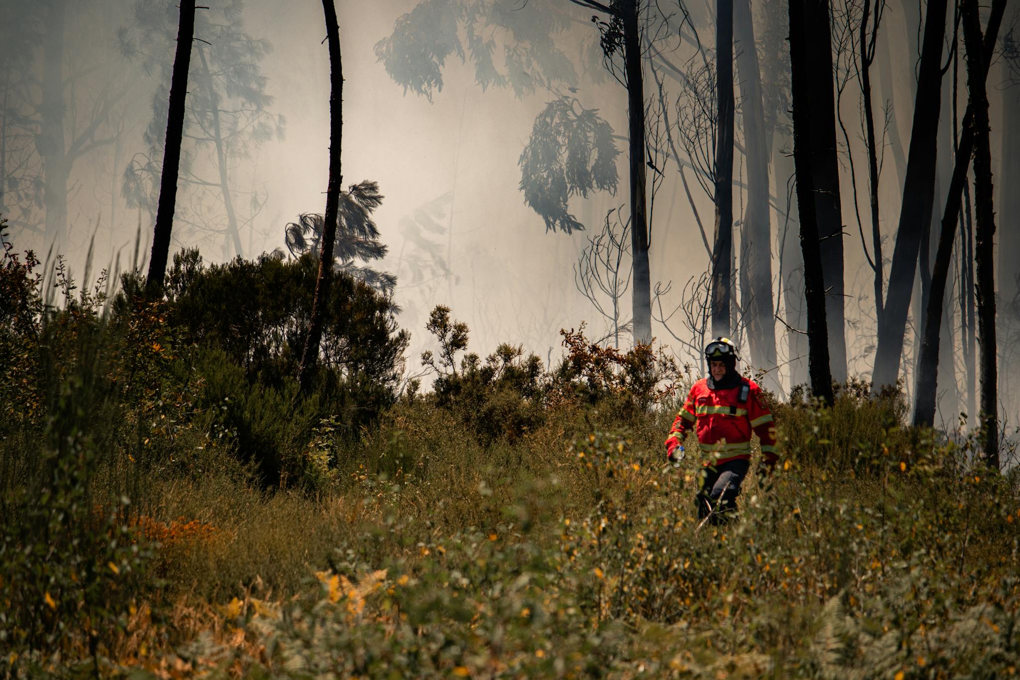 A firefighter moves through a smoke-filled forest in Portugal, highlighting the danger and urgency of wildfire response.