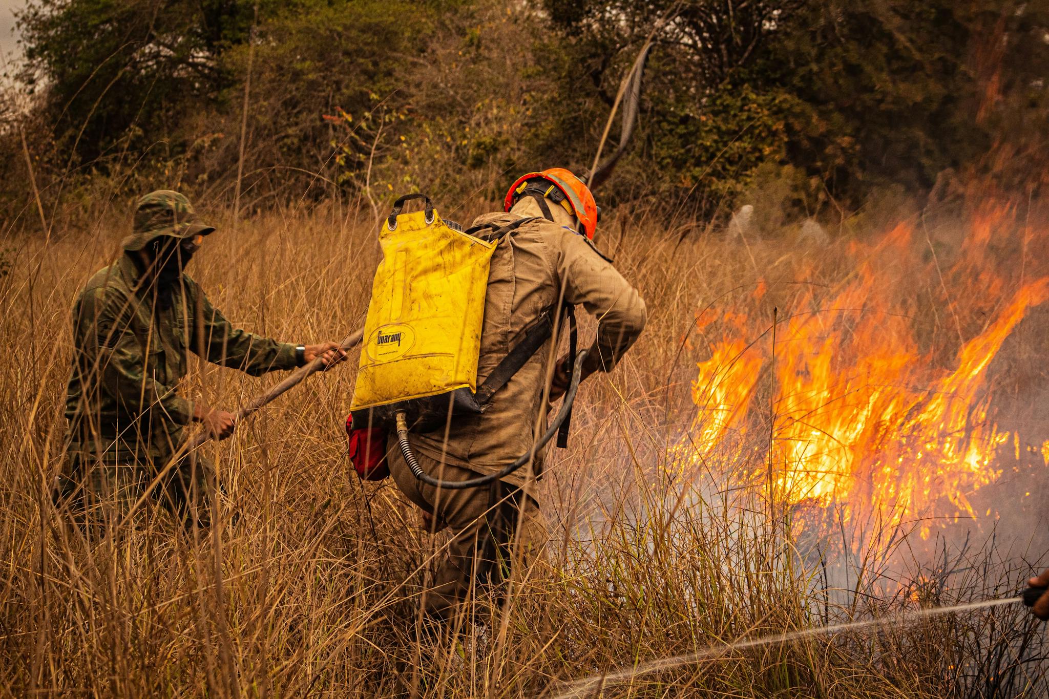 Firefighters extinguishing a wildfire in dry grasslands of Mato Grosso, Brazil. A vivid depiction of public safety efforts.
